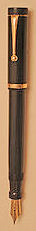 Fountain Pen